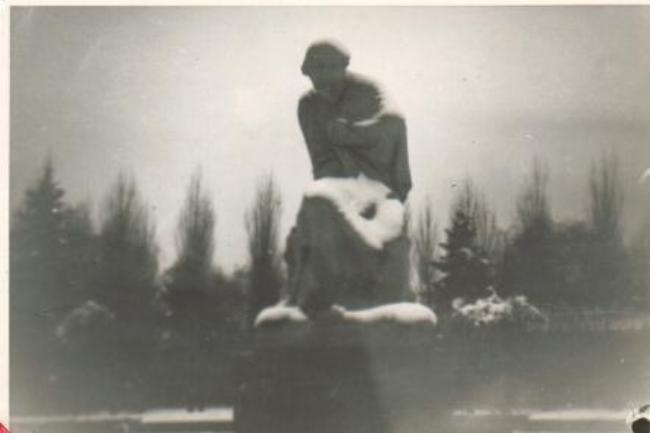 Images/War Graves 2.jpg